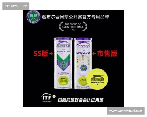 统一网球大满贯赛事用球规格降低球员伤病风险的探讨 统一网球大满贯赛事用球规格降低球员伤病风险的探讨